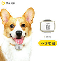 带毛孩子露营撒欢去！一份超贴心的宠物定位器露营指南