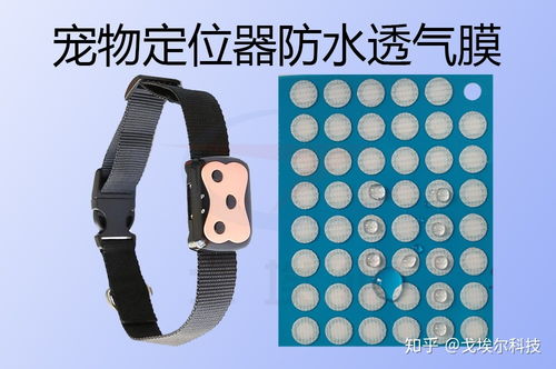 解密宠物定位器IP67防水设计 透气膜的科技之道